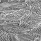 Illustration for article titled Explorers discover a lost civilization frozen in tiny sodium crystals